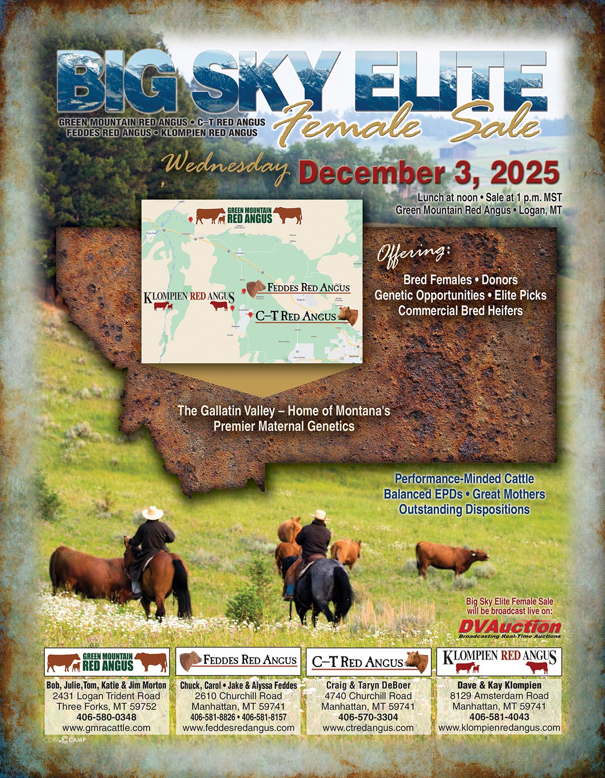 2025 Big Sky Elite Female Red Angus Sale Montana