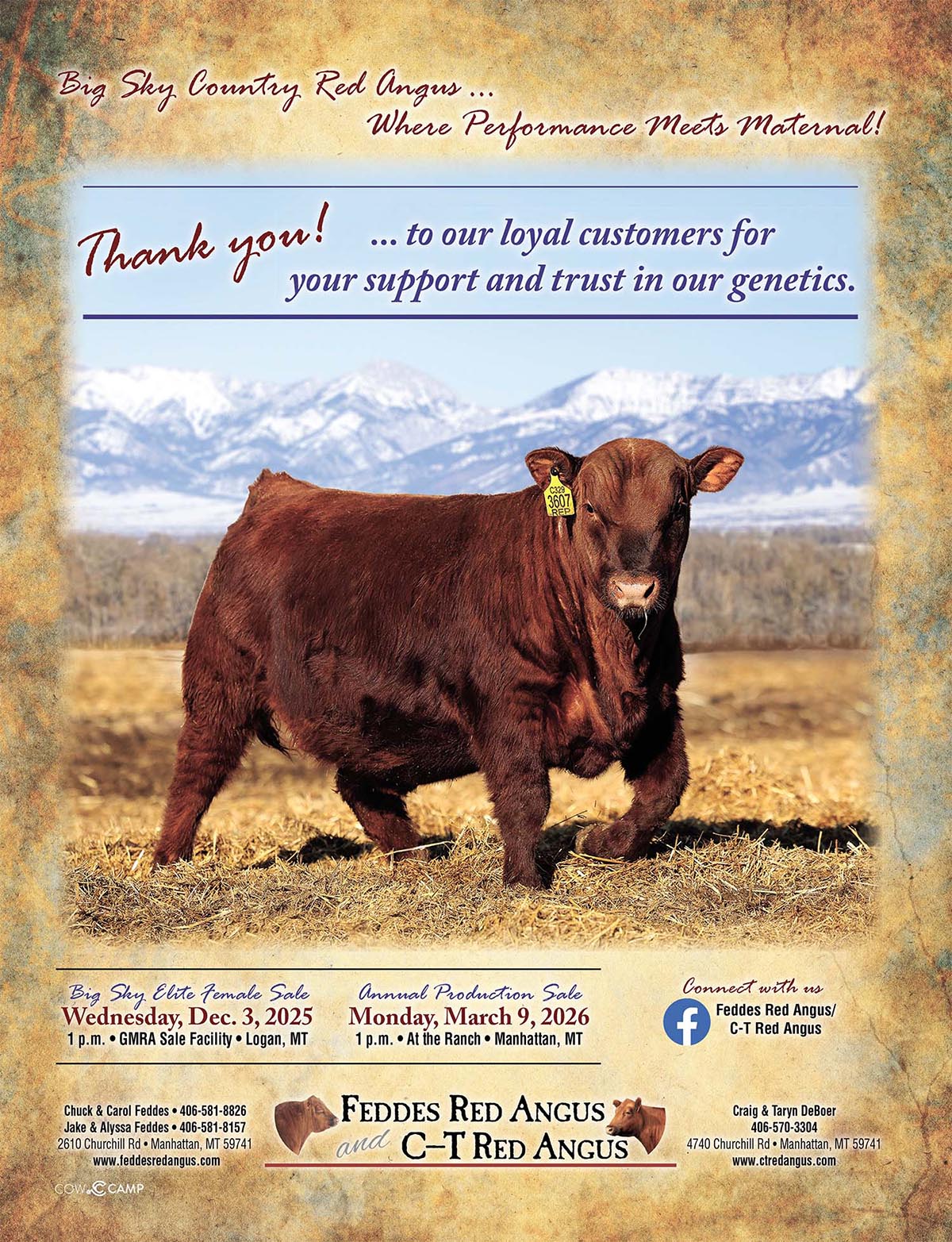 2025 Feddes Red Angus Thank You