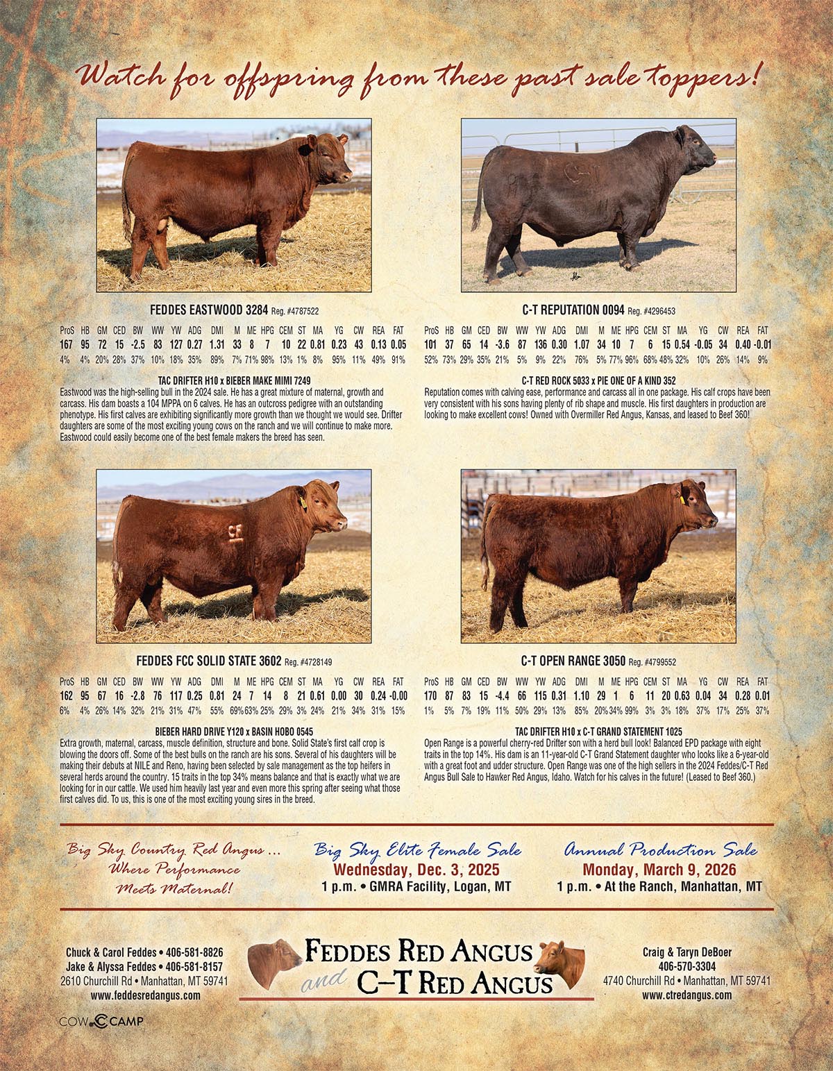 2025 Sept Feddes Red Angus Magazine Ad