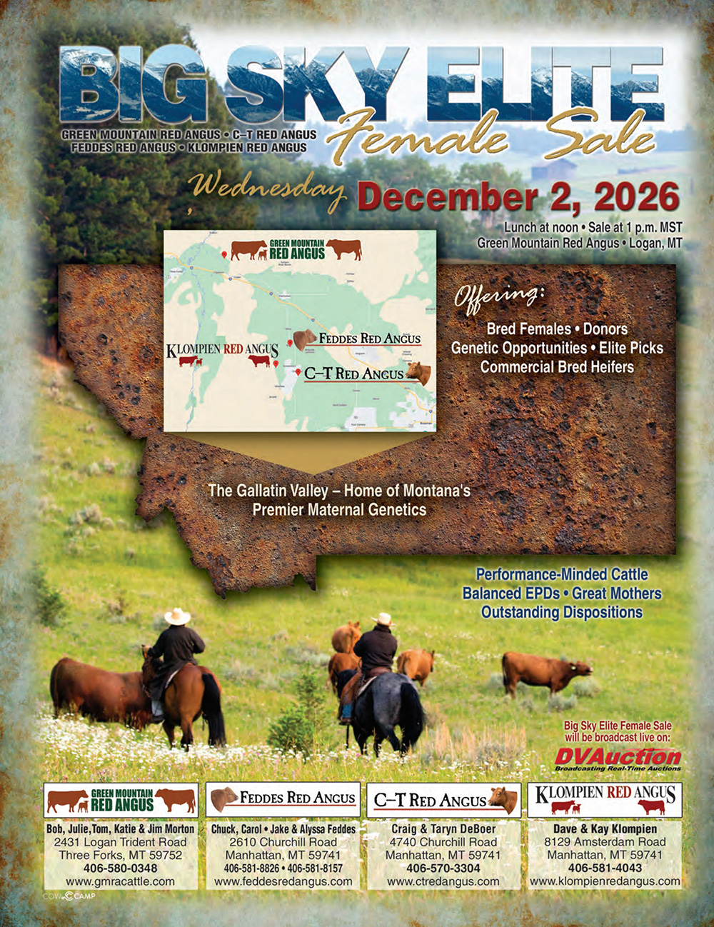 2026 Big Sky Elite Female Sale Red Angus Cows Montana 2026 Big Sky Elite Female Sale Red Angus Cows Montana