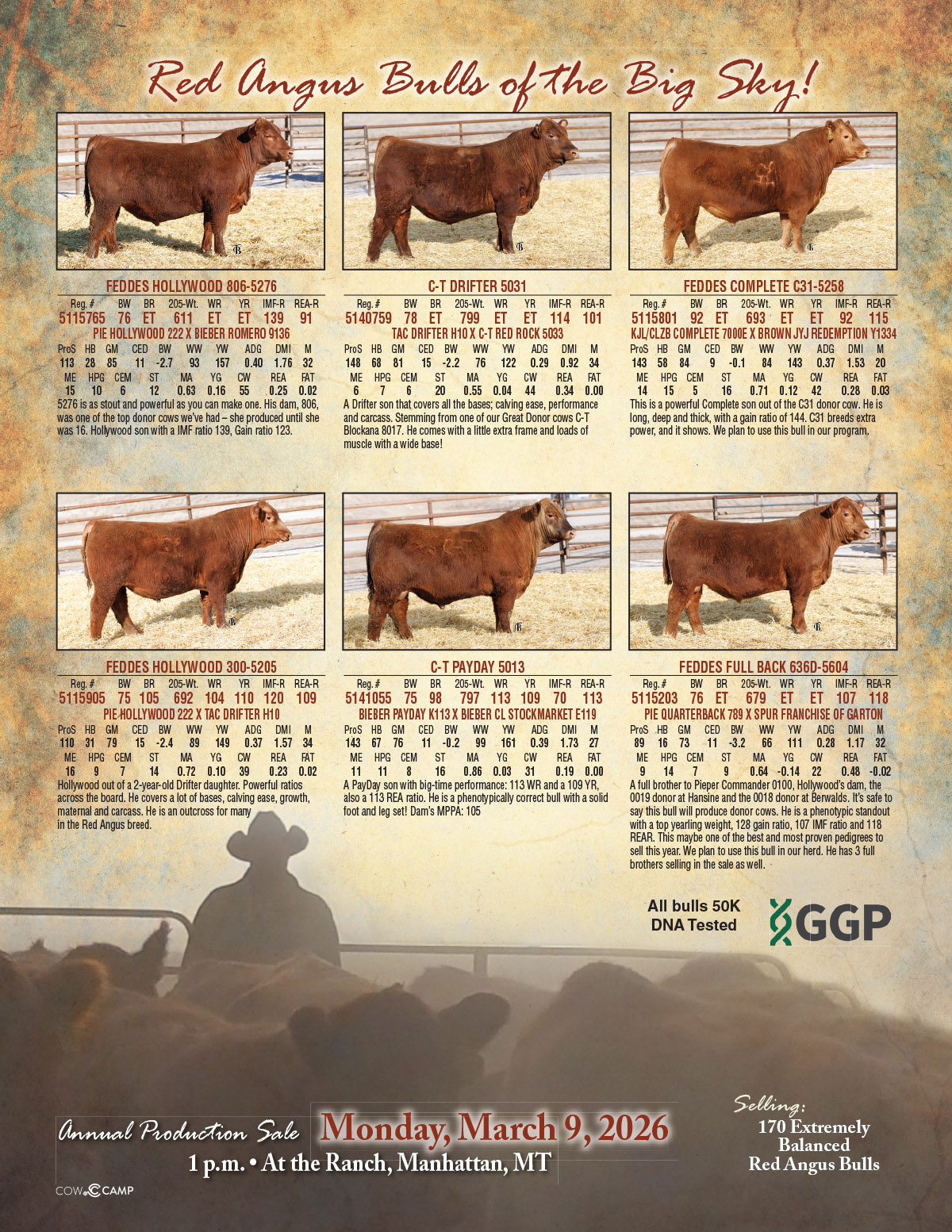 2026 Feddes Red Angus Sale